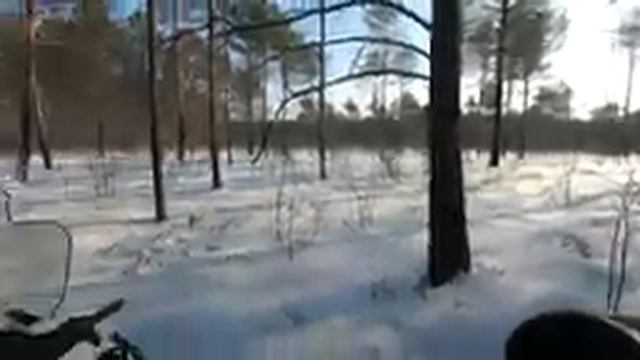 ВЫЕХАЛИ НА ПРИРОДУ НА СНЕГОХОДЕ STELS VIKING 600/ВИДЕЛИ ЗАЯЧЬИ СЛЕДЫ/ВСТРЕТИЛИСЬ С КАСУЛЕЙ