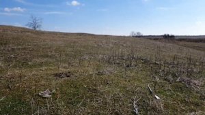 С Эквинокс 900 по следам 800 Сорекс наступает на пятки.