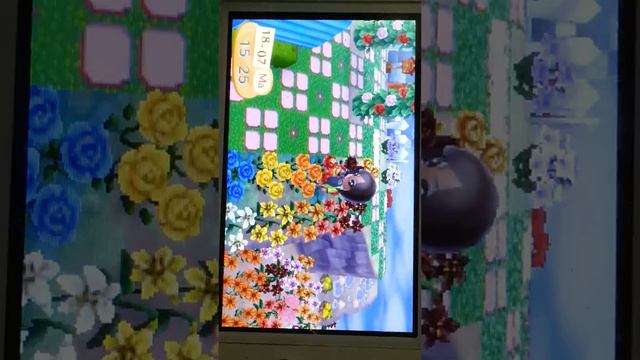 Como híbridar#rosas смотреть онлайн