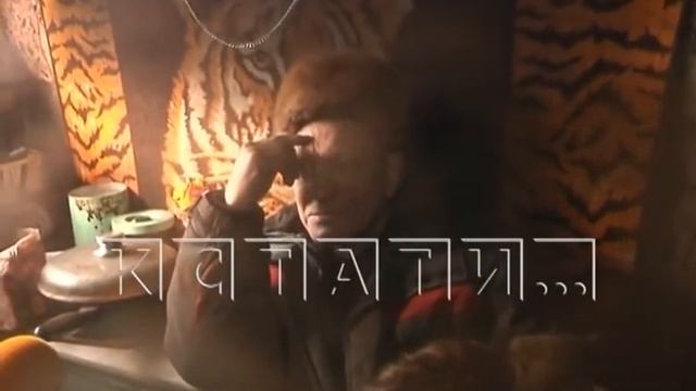 Житель Балахны бросил свою квартиру и ушел жить в лес, отшельником