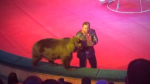 Белорусский государственный цирк в Минске. Circus Belarus