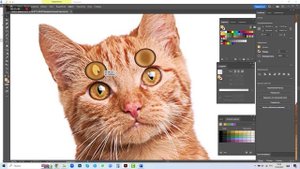 Живые глаза. ADOBE ILLUSTRATOR. УРОК ДЛЯ НАЧИНАЮЩИХ.