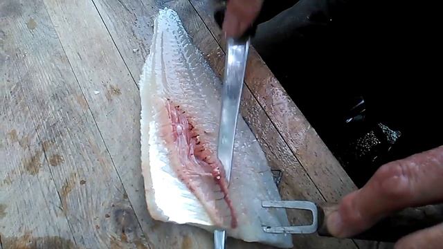 Ahvenen fileointi: Разделываем окуня на филе ☆20170706 смотреть онлайн