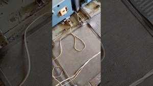 Электрический мир