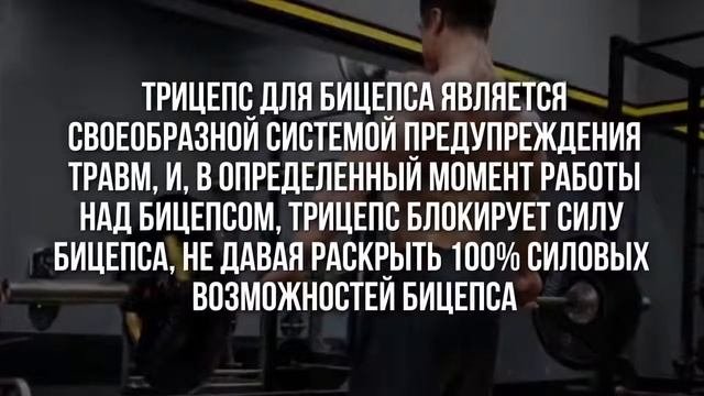 10 Способов накачать бицепс