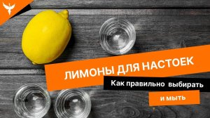 Как правильно мыть лимоны для настоек. Какие лучше выбрать