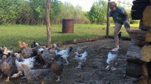 ЕДЯТ БОЛЬШЕ ЧЕМ ЛОШАДИ. НАЧАЛОСЬ УМЕНЬШЕНИЕ ПОГОЛОВЬЯ В ДЕРЕВНЕ. ЖИЗНЬ В ДЕРЕВНЕ