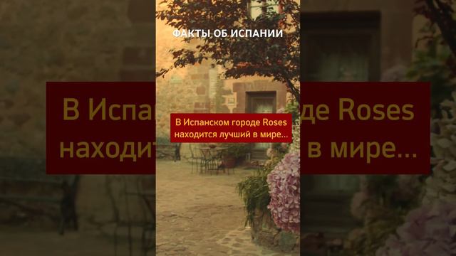 Факты об Испании🇪🇸  В Испанском городе Roses находится лучший в мире…