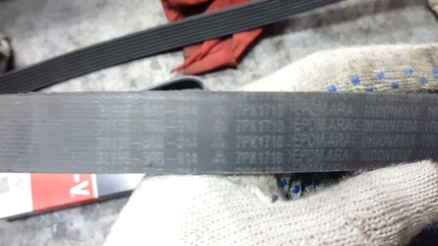 Honda Civic 1.5 Turbo X поколения. Стук натяжителя приводного ремня . Замена ремня генератора. смотреть онлайн