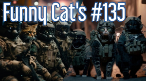 Смешные коты #135