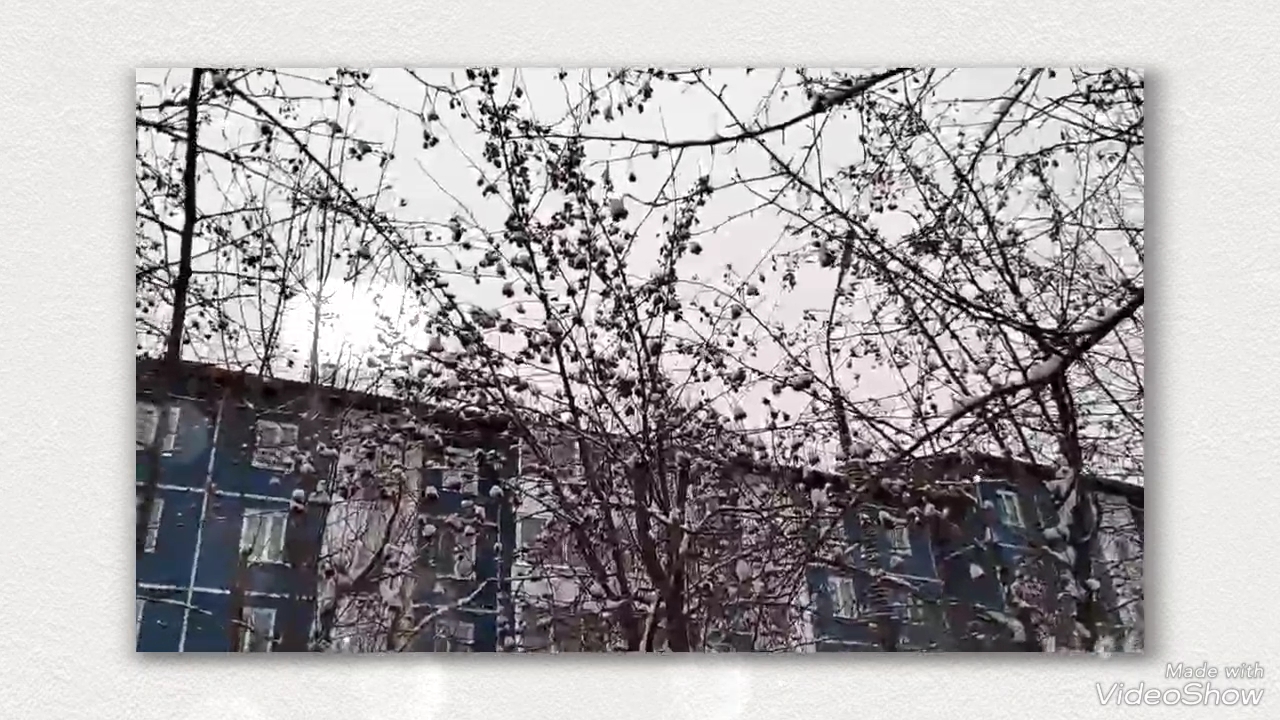 Закономерности природы