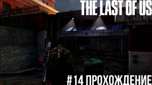 The Last of Us - 14 Университет