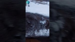 ? Зимние пейзажи оживают снова! ❄️