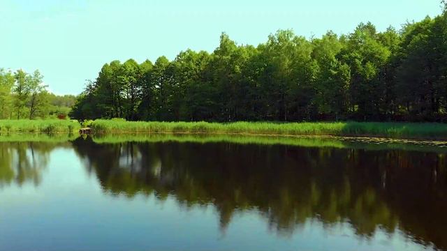 Лесной Эдем. Обзор территории с квадрокоптера смотреть онлайн