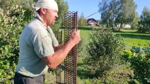 Забор из высечки и сетки-рабицы.  Огораживаем огород.