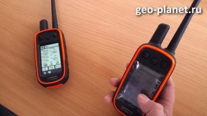 Garmin Alpha 100 с ошейником TT 10 - изучаем навигатор