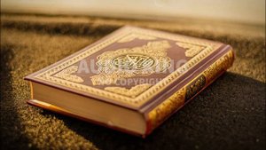 Surah Al Nahl by Ahmad Al Shalabi - The Most Interesting and Eye-Opening Verses