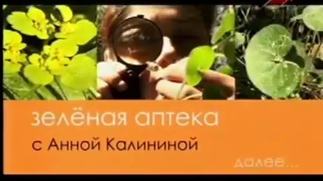 Копытень европейский