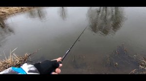 Можно ли ловить спиннингом 10-35 на микроречке.  Щука