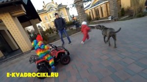 Квадроцикл на бензине для детей МАУГЛИ X16 от 5 лет 49cc