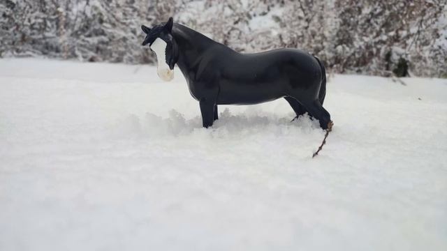 лошади breyer/Зимний клип breyer❄️/ брейер/ фотографии breyer