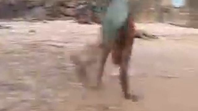 Capoeira: Este deve ser parente do Besouro. смотреть онлайн