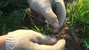 Equinox 800 НЕКОПАННЫЕ МЕСТА. РАСПАШКА ЧЕШУИ. часть 2