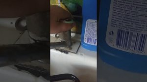 Как налить воду в чайник
