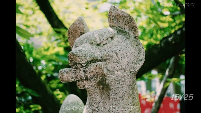 SONY ZV1 × VSCO Street Photography смотреть онлайн