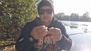 Опарыш на волосяную оснастку с достаточно эффективным способом ее избавления.RusselWhiteFishing.