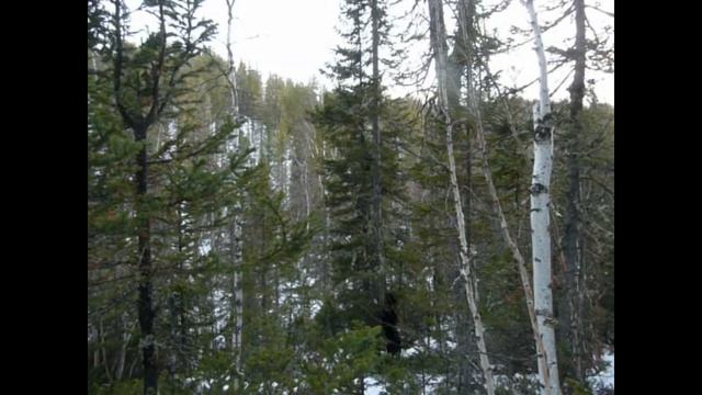 Глухая тайга. Охота в Сибири. Жизнь в тайге,, красота Прибайкальской дикой тайги... смотреть онлайн