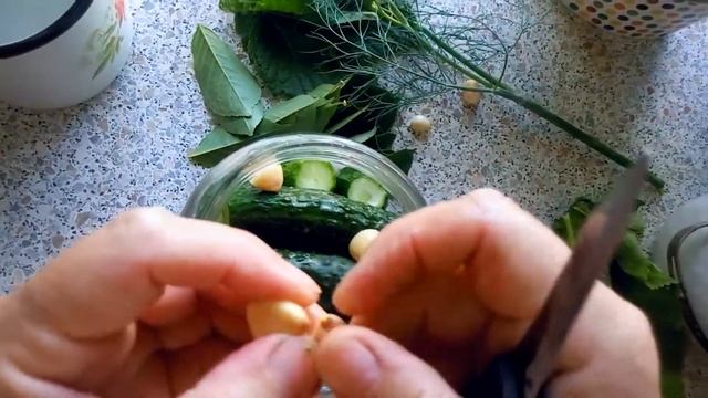 Малосольные огурцы на скорую руку. Малосольные огурцы быстрый рецепт