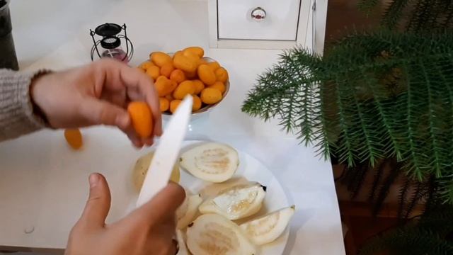Гуаява. Дегустация фрукта. Выращиваем дома смотреть онлайн