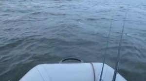 Рыбалка на волне