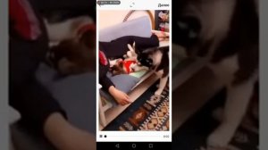 Как добавить видео в ленту инстаграм больше минуты.