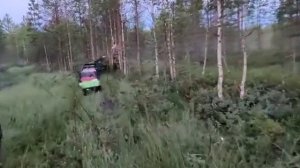 Койра Т15 по Архангельскому болоту 2