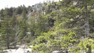 25.05.2019 - экстремальный поход в горы (НП "Таганай")