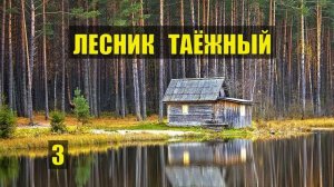 ИСТОРИЯ ГОРБАТОГО ОТШЕЛЬНИКА ЛЕСНИКА СЛУЧАЙ в ТАЙГЕ из ЖИЗНИ ДОМ в ЛЕСУ ЛЮБОВЬ и ГОЛУБИ СЕРИАЛ 3