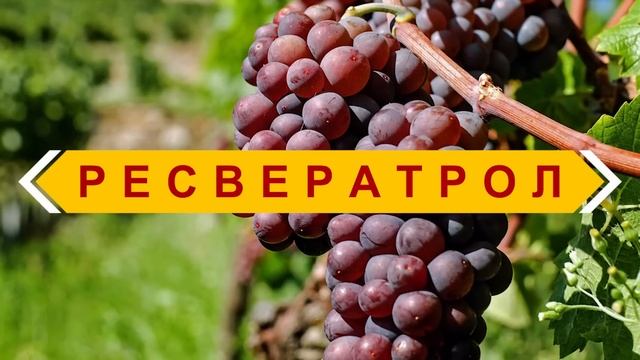 ТЕСТОСТЕРОН. Как ПОВЫСИТЬ его уровень?