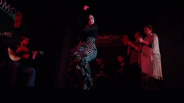 Fiery Flamenco From Madrid. Cardamomo! смотреть онлайн