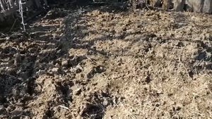 Обустройство дачи, сделали деревянные грядки. Серия 2