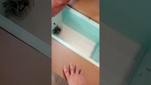 Инкубатор Матрица Дели на 72