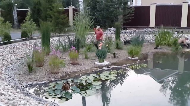 СОЗДАНИЕ ПРУДА #ПОСАДКА ВОДНЫХ РАСТЕНИЙ смотреть онлайн