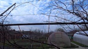 ДОСЕЯЛА МОРКОВКИ?? БАЛЬЗАМИН  ВЫТЯНУЛСЯ? ОБРАБОТАЛИ САД ? ОНА УШЛА ? ВСЕ НА ГЛАЗАХ ПРЯМО ?