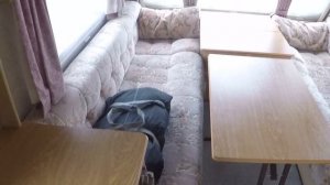 Обзор дома на колёсах,автодом,прицеп-дача STERLING 2000 года 750 кг