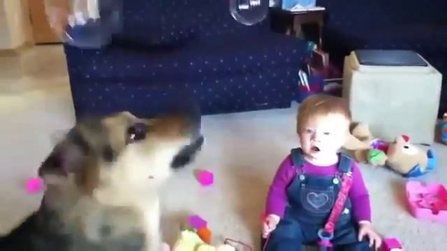 ребенок угарает с собаки смотреть онлайн