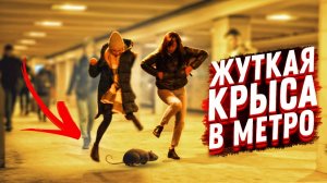 ПОДБРОСИЛ КРЫСУ В МЕТРО | Реакция людей