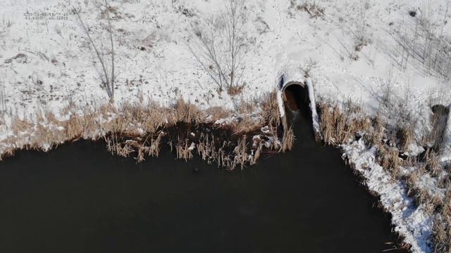 Обнаружены сбросы в реку Миасс смотреть онлайн