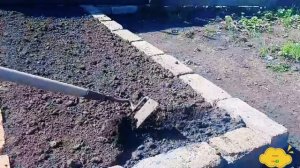 ВЫПУСК 79: Как посадить семена петрушки в открытый грунт