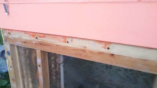 Экспериментальный наблюдательный улей
